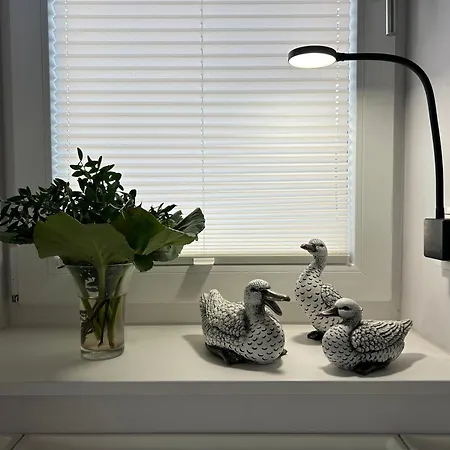 Penthouse - Grosszuegige Dachterrasse Daire